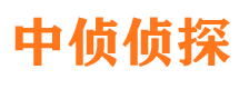 宝丰找人公司